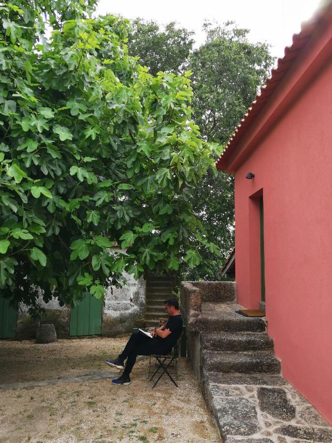 Villa Quinta Do Santinho Amarante Exterior foto