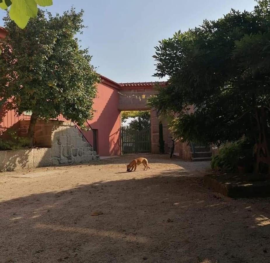 Villa Quinta Do Santinho Amarante Exterior foto