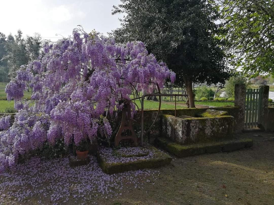 Villa Quinta Do Santinho Amarante Exterior foto